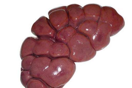 男人牛子活动视频,牛子活动视频背后的真实故事