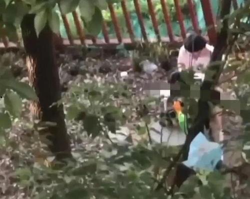 树林里不雅视频,揭秘不雅视频事件背后的真相