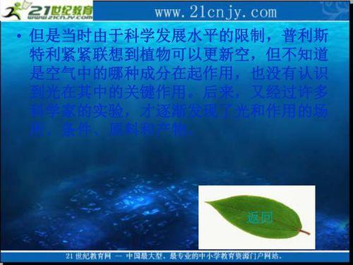 光合作用教学视频,揭秘植物能量转换的神奇之旅
