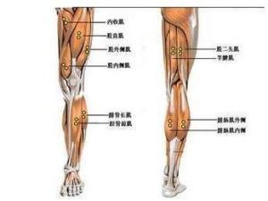 股四头肌收缩锻炼方法视频,高效塑形，轻松掌握