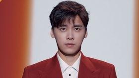 李易峰跨年求婚视频,李易峰浪漫跨年求婚，甜蜜瞬间感动全网