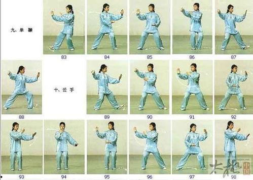 下载太极拳24式视频教学