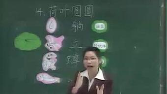 荷叶圆圆教学视频,探索自然之美，培养幼儿环保意识