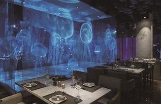 全息餐厅视频,未来餐饮体验的视觉盛宴